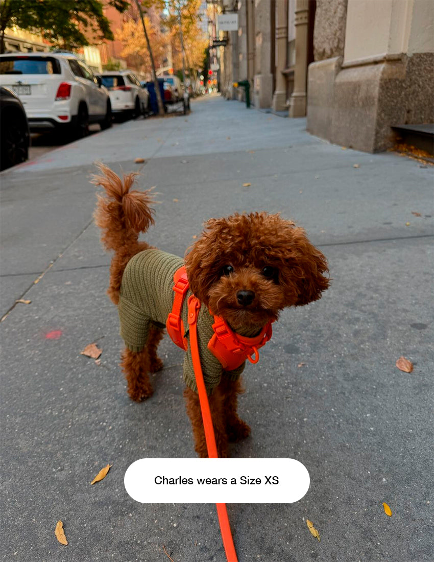 Sunset Orange Walk Kit