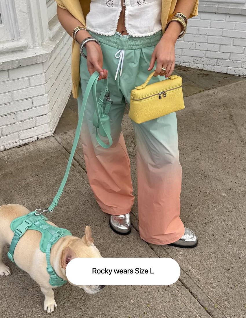 Tiffany Blue Comfort Harness