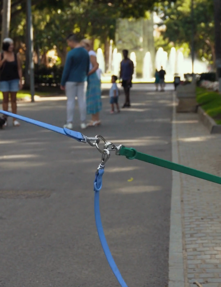 Verhedderungsfreie Doppelleine