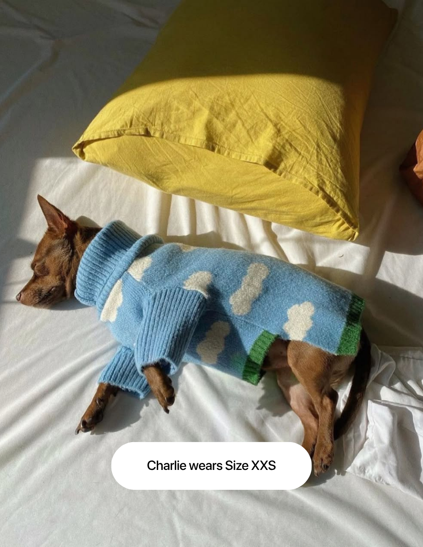 The Limited Edition "Clouds Sweater"