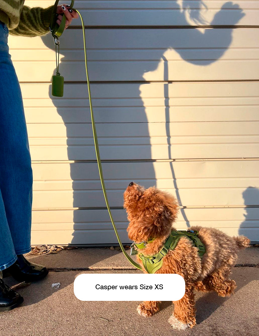 Matcha Green Komfort-Hundegeschirr