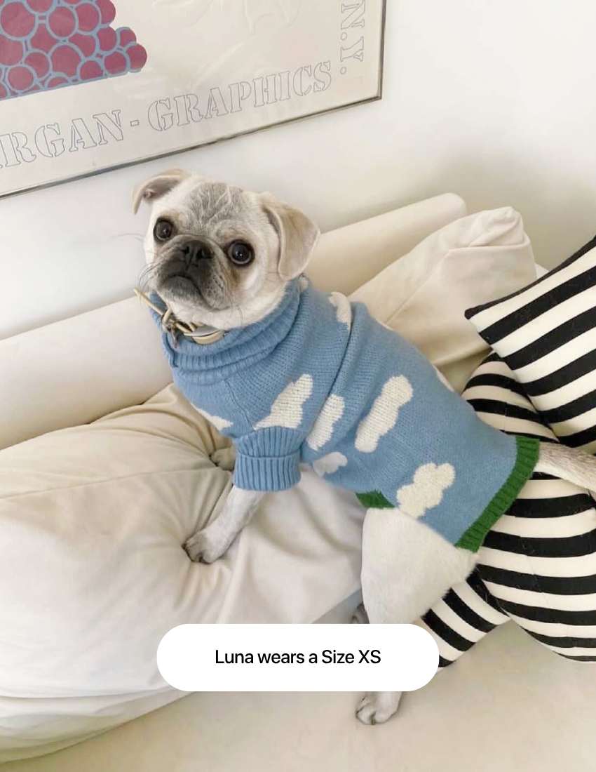 The Limited Edition "Clouds Sweater"