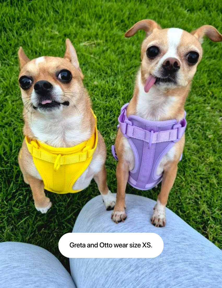 Lavender Lilac Comfort Harness