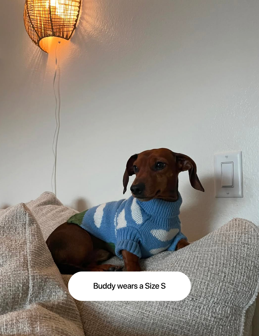 The Limited Edition "Clouds Sweater"
