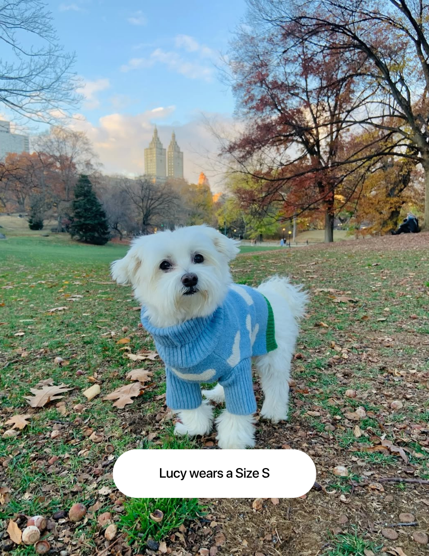 The Limited Edition "Clouds Sweater"