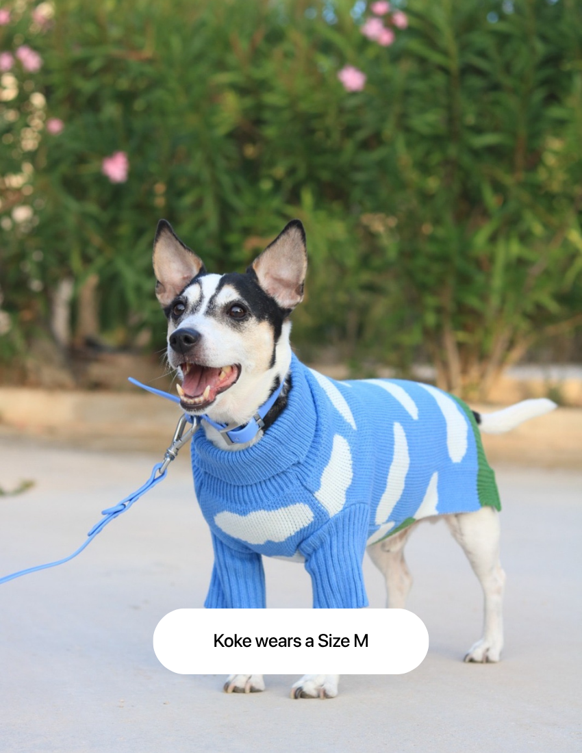 The Limited Edition "Clouds Sweater"
