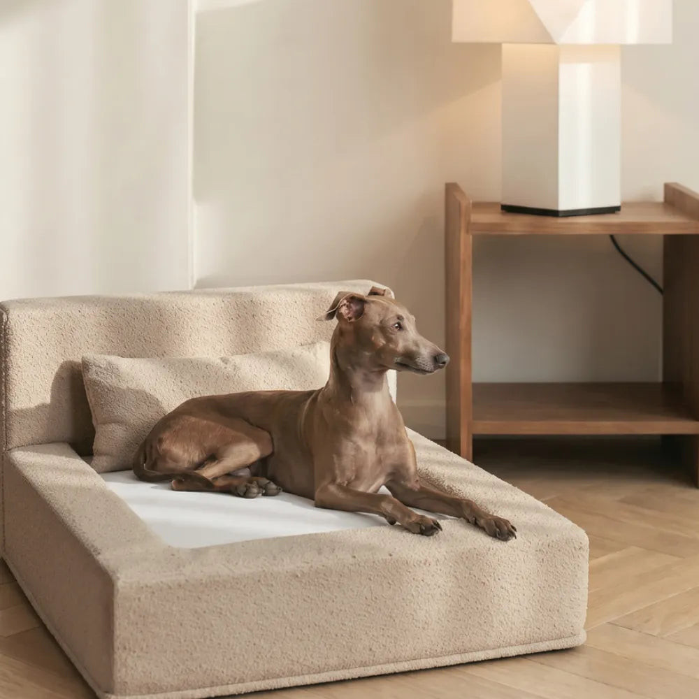 Cama para perros Ortopédica - Clouds, L