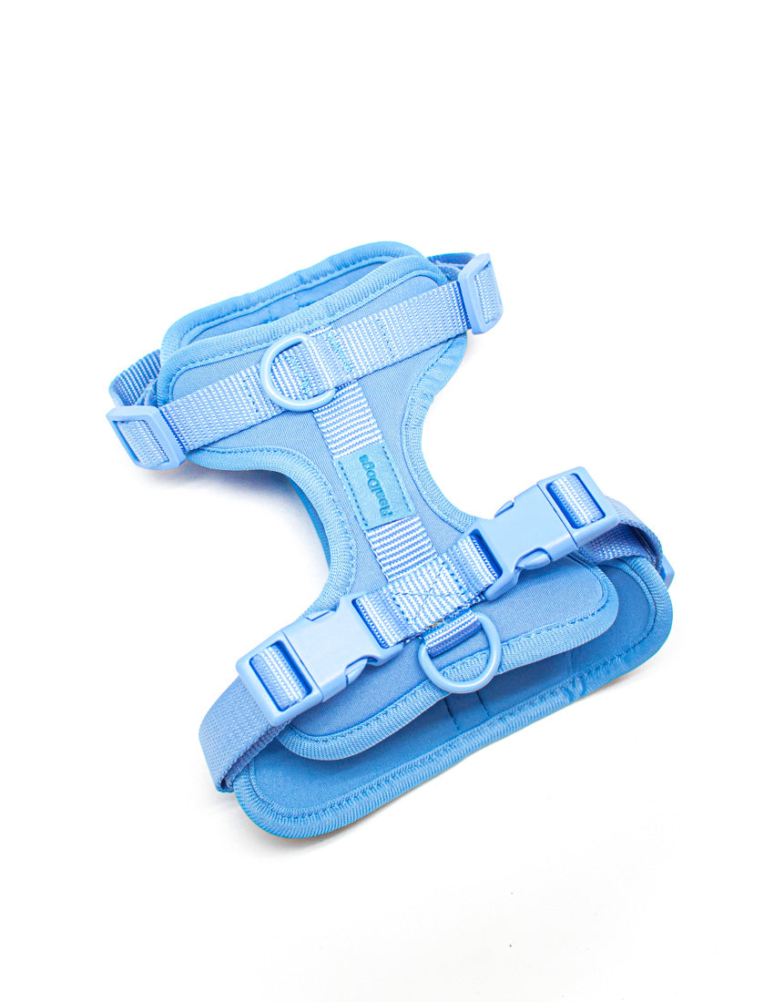 Baby Blue Komfort-Hundegeschirr