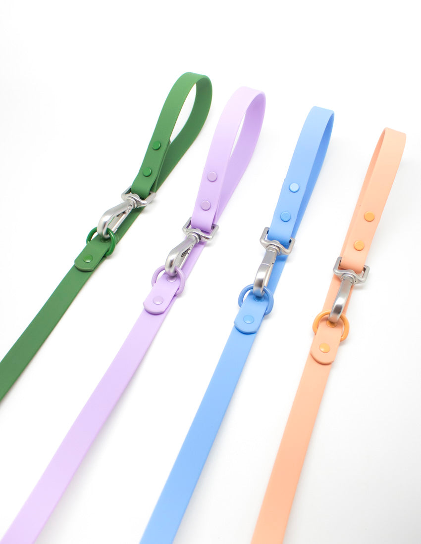 Forest Green Leash