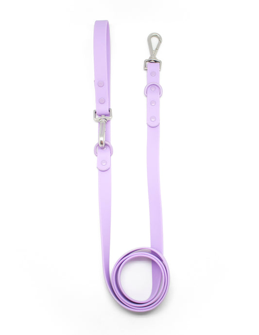 Correa Lavanda Lilac