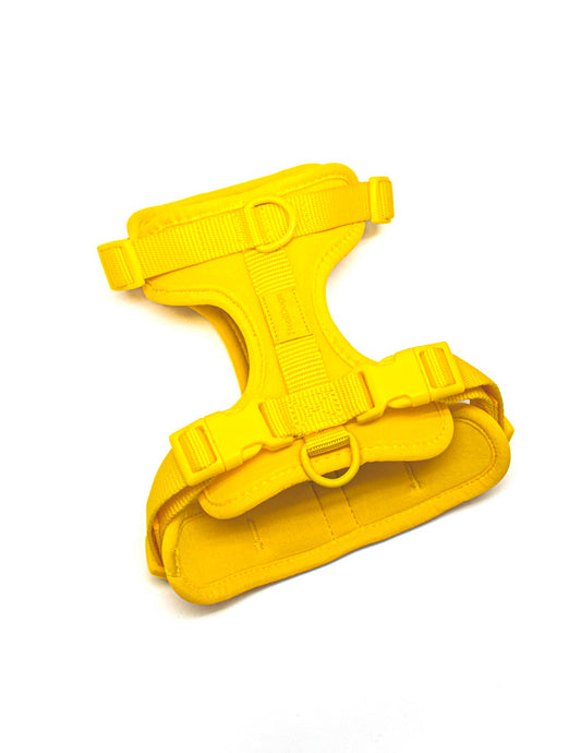 Honey Yellow Comfort Harness