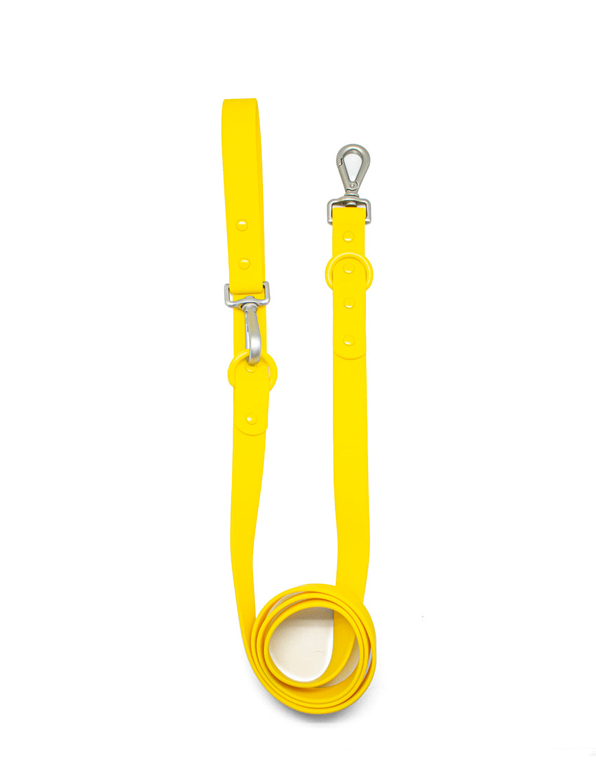 Correa Honey Yellow