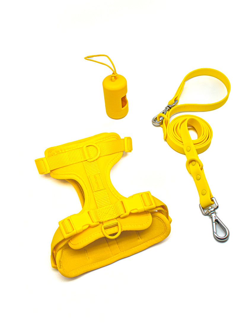 Honey Yellow Walk Kit