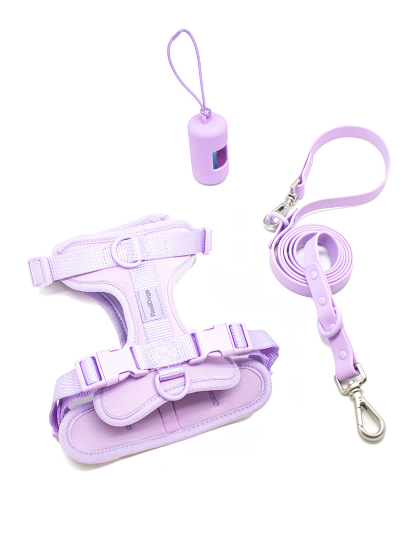 Lavender Lilac Walk Kit