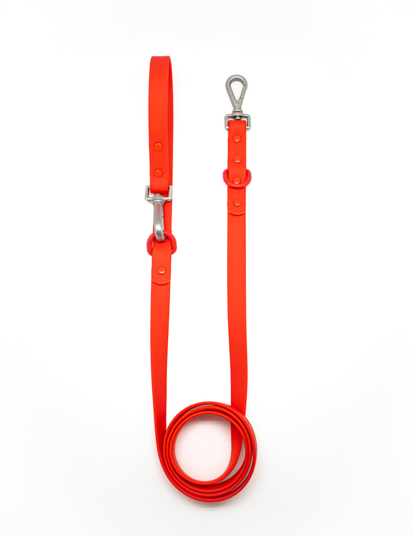 Passion Red Hundeleine