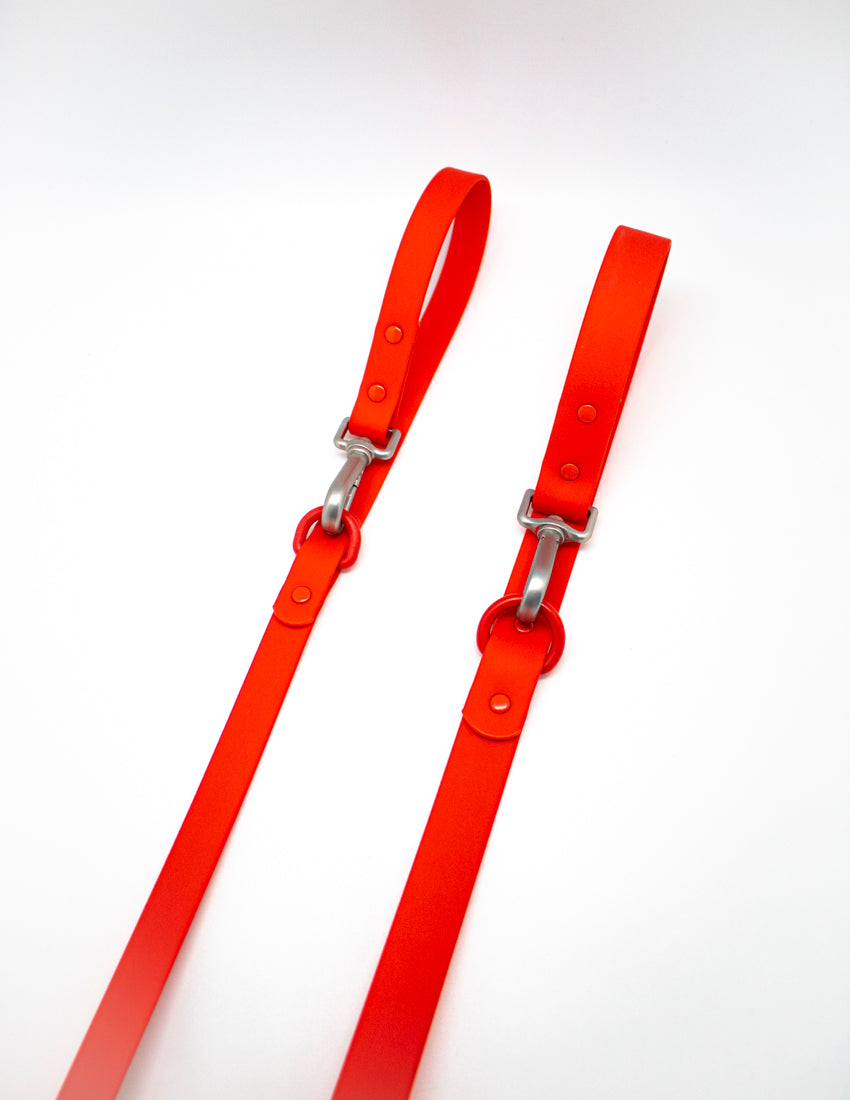 Passion Red Hundeleine