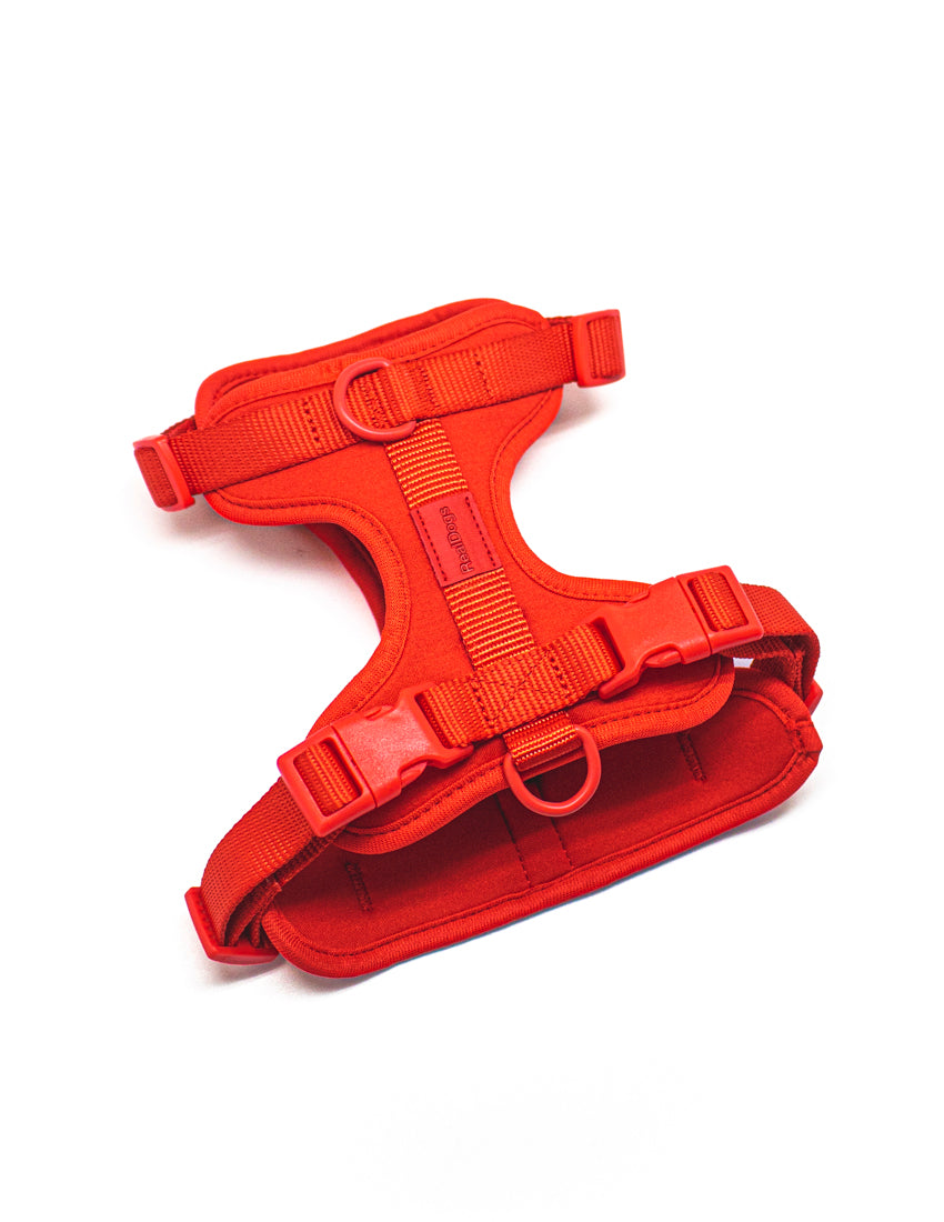 Passion Red Komfort-Hundegeschirr
