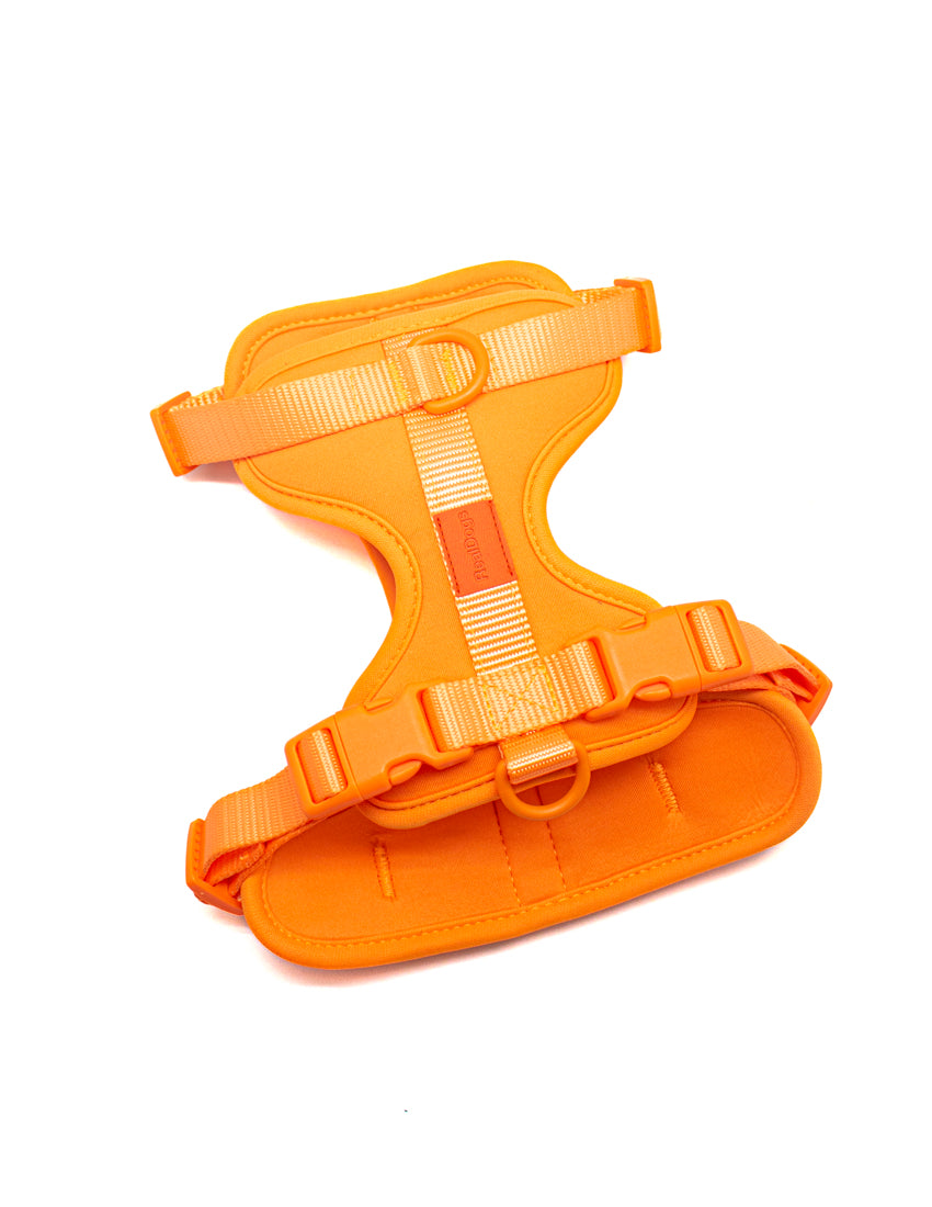 Peitoral Comfort Sunset Orange