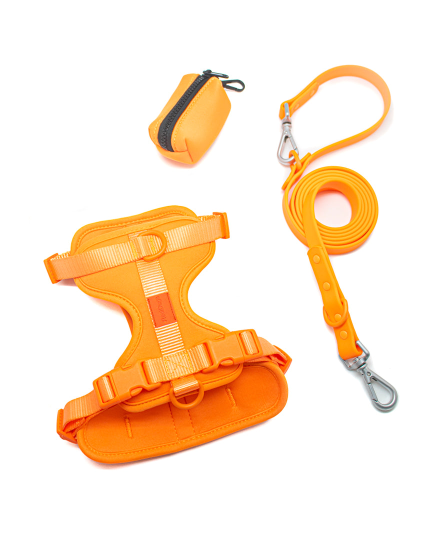 Sunset Orange Walk Kit