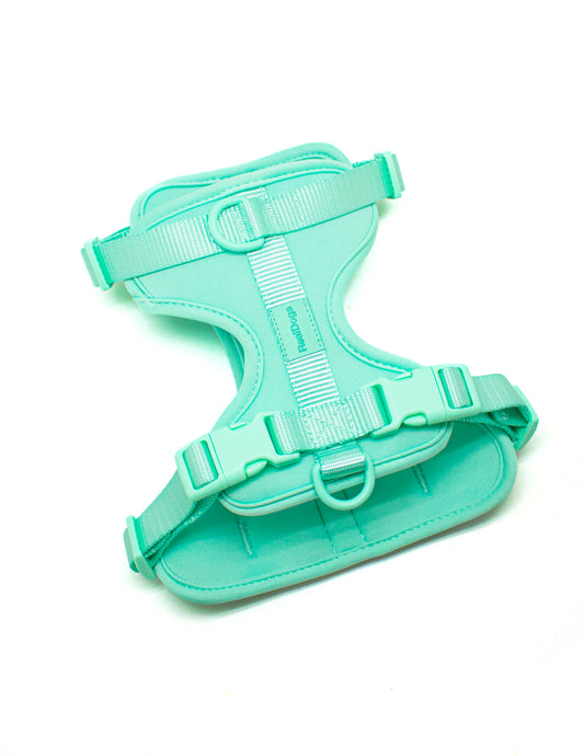 Tiffany Blue Comfort Harness