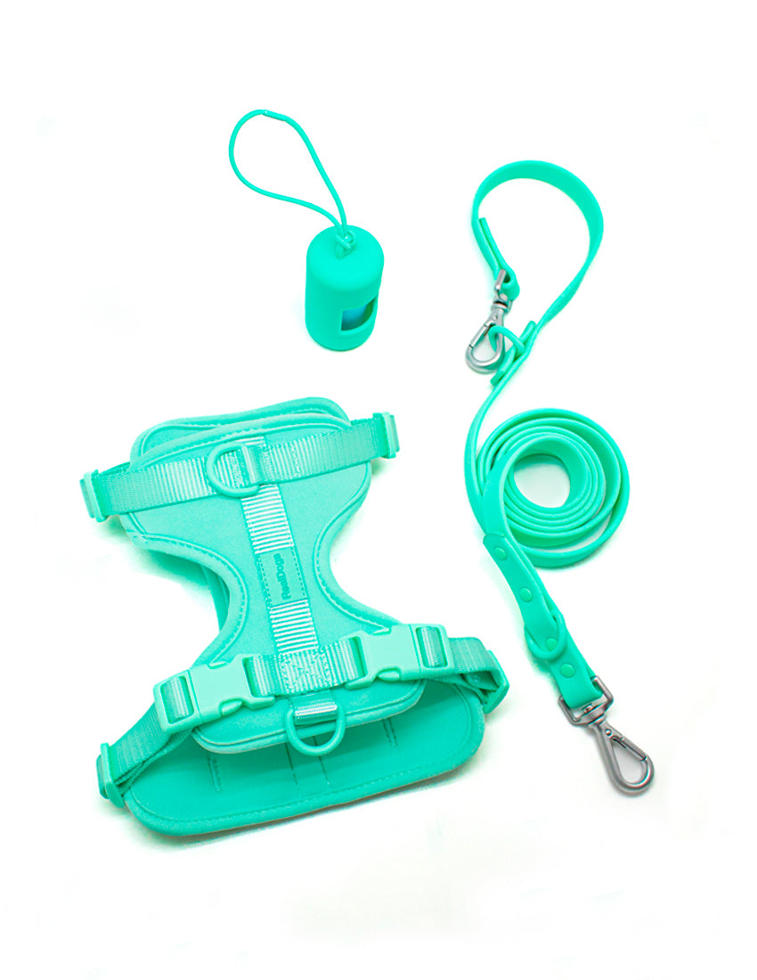 Tiffany Blue Walk Kit