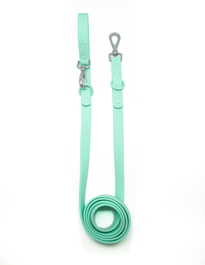 Laisse Tiffany Blue