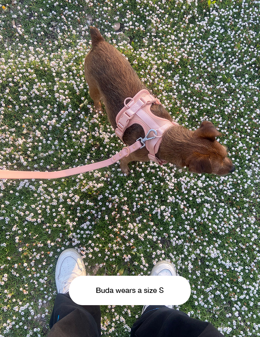Pale Pink Komfort-Hundegeschirr
