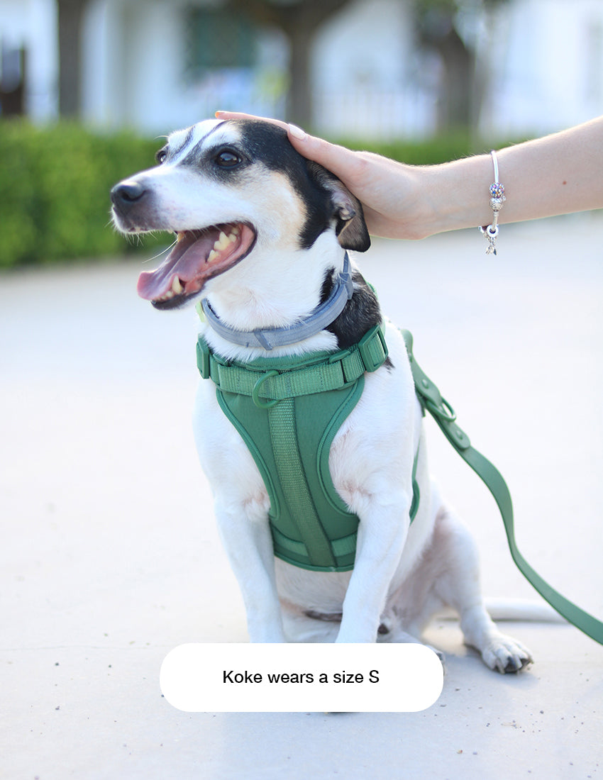 Forest Green Komfort-Hundegeschirr