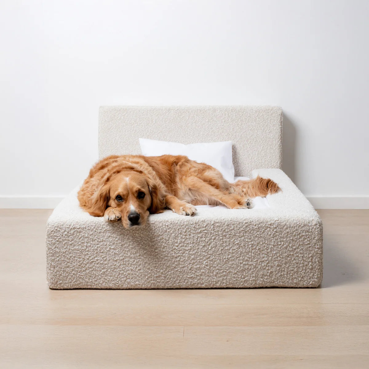 Cama para perros Ortopédica - Clouds, M