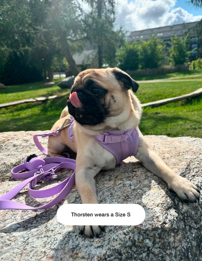 Lavender Lilac Comfort Harness