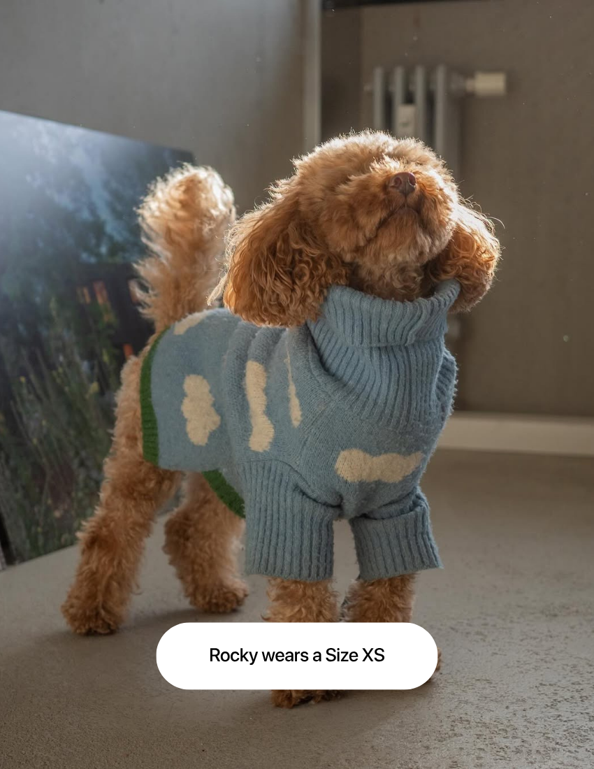 The Limited Edition "Clouds Sweater"