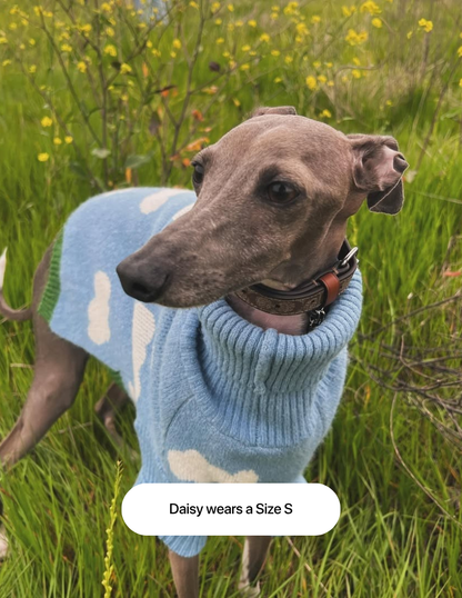 The Limited Edition "Clouds Sweater"