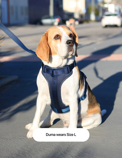 Navy Blue Walk Kit
