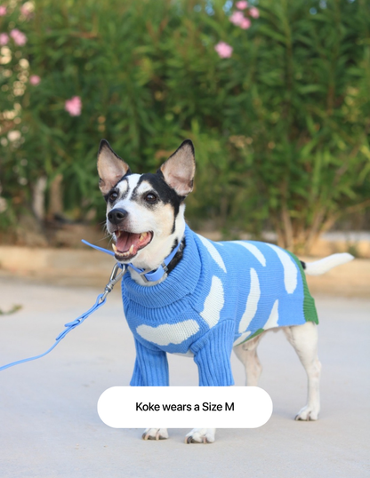 The Limited Edition "Clouds Sweater"