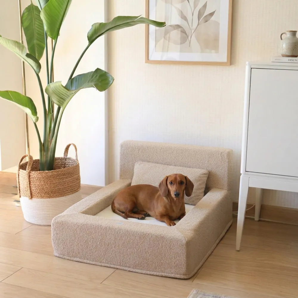 Cama para perros Ortopédica - Clouds, L