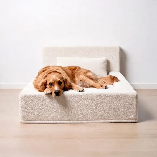 Cama para perros Ortopédica - Clouds, L