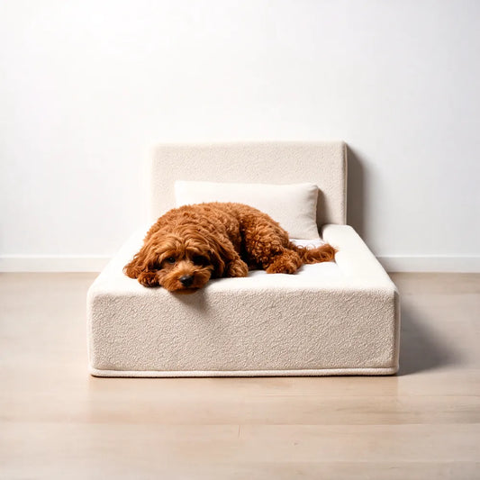 Cama para perros Ortopédica - Clouds, S