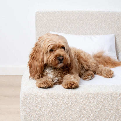 Cama para perros Ortopédica - Clouds, M