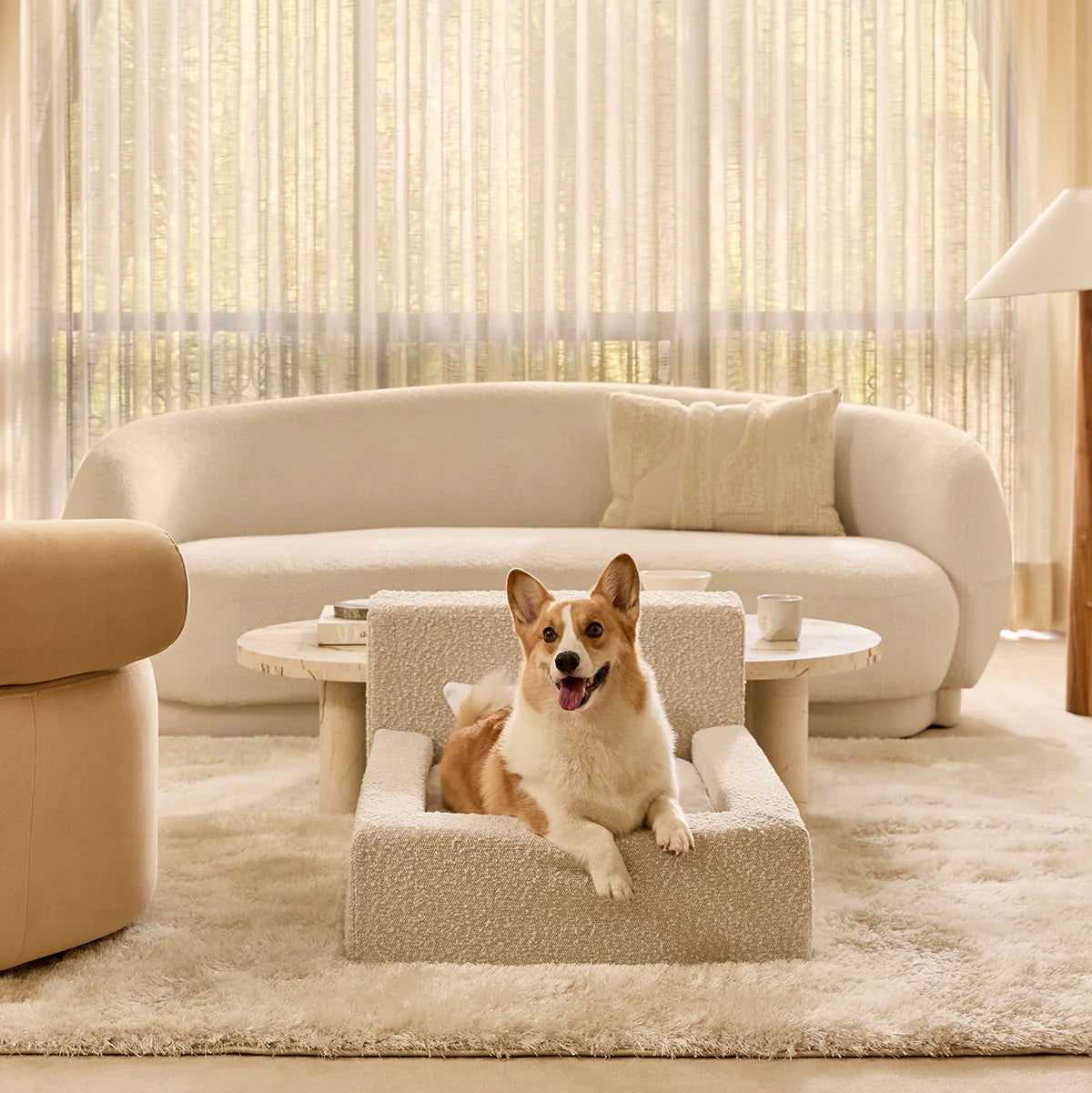 Cama para perros Ortopédica - Clouds, M