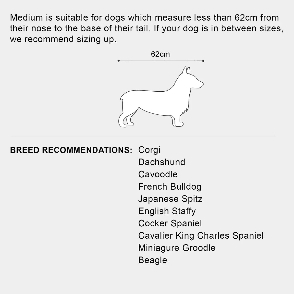 Cama para perros Ortopédica - Clouds, M