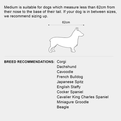 Cama para perros Ortopédica - Clouds, M