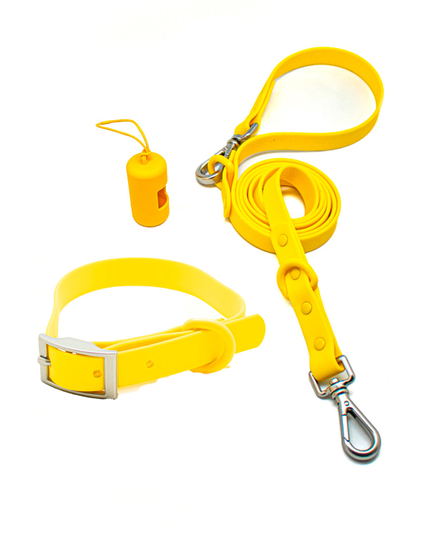 Honey Yellow Hundehalsbänder Kit