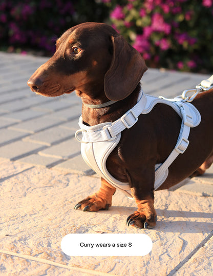 Light Grey Comfort Harness