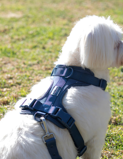 Navy Blue Comfort Harness