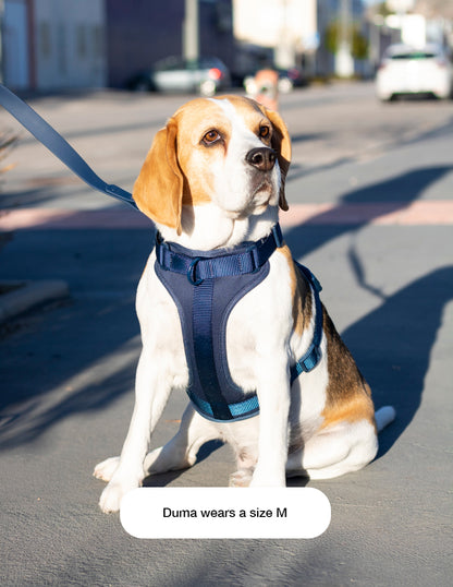 Navy Blue Comfort Harness