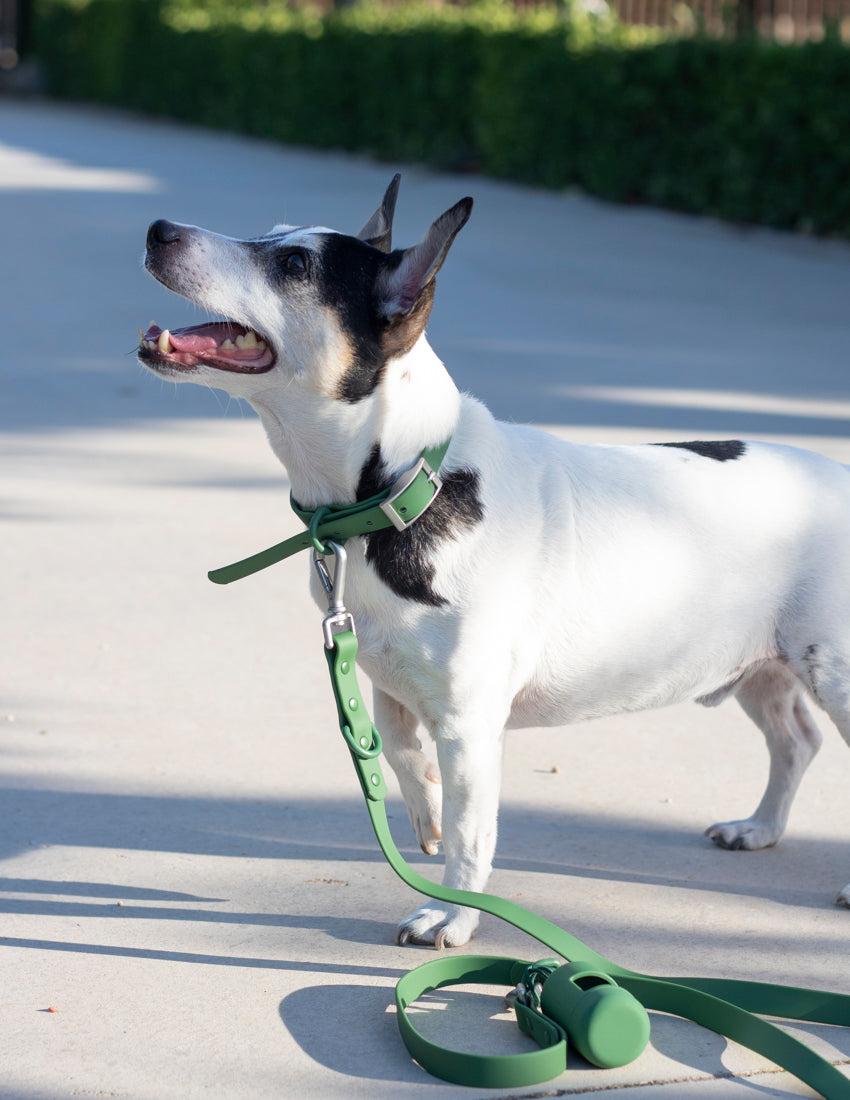 Kit Collar Forest Green