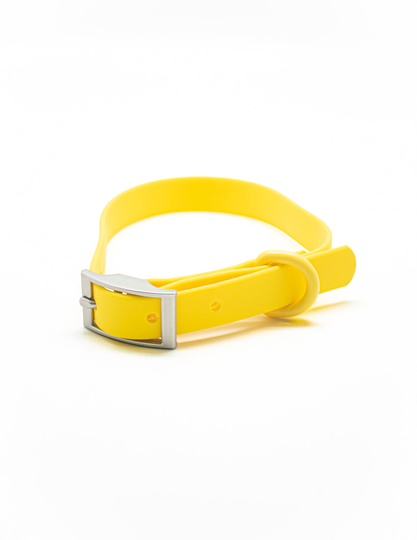 Honey Yellow Collar