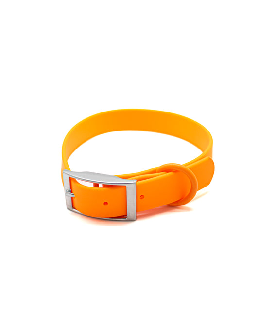 Collar Sunset Orange