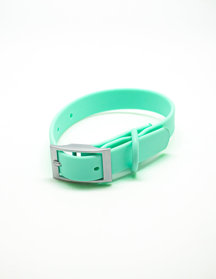Collar Tiffany Blue