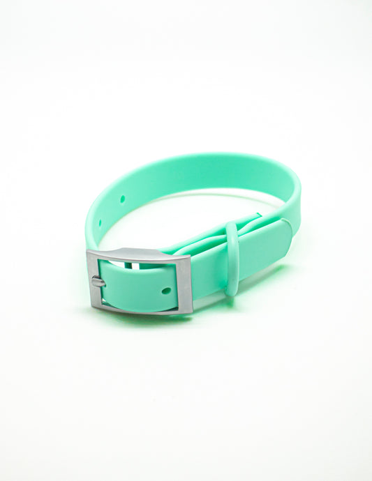 Collar Tiffany Blue